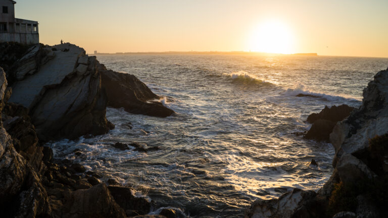 Bigger brain doesn’t equal better brain.