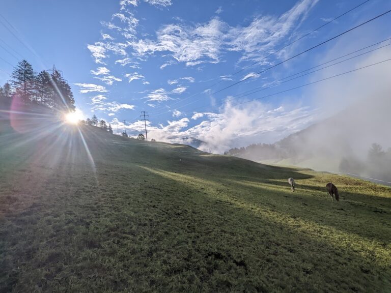 The real reason why you can’t slow down, despite *craving* rest.