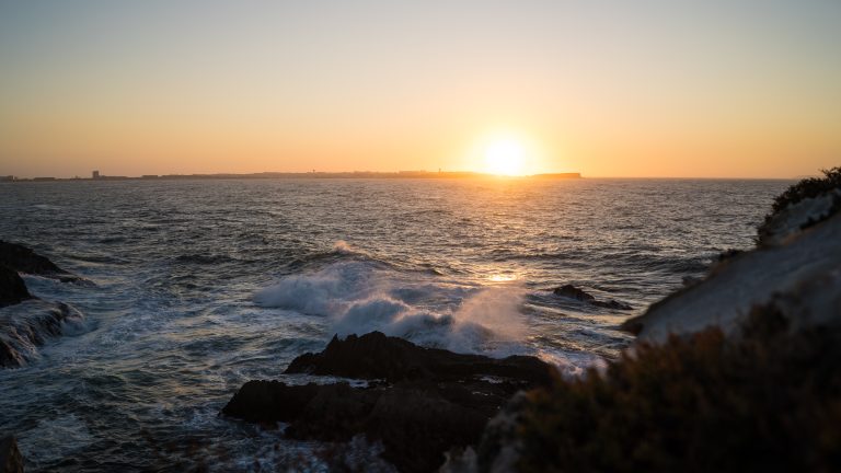 the high speed trap: why you secretly love the rush